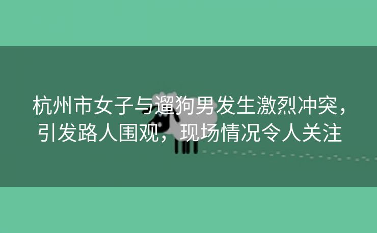 杭州市女子与遛狗男发生激烈冲突，引发路人围观，现场情况令人关注