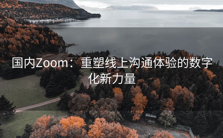 国内Zoom：重塑线上沟通体验的数字化新力量