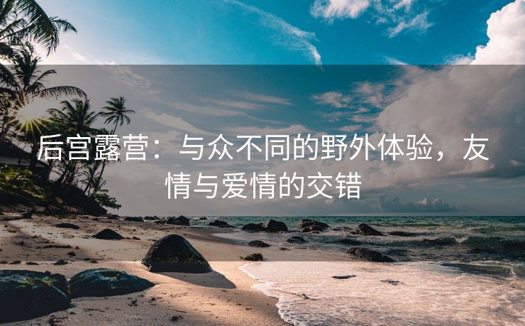 后宫露营：与众不同的野外体验，友情与爱情的交错