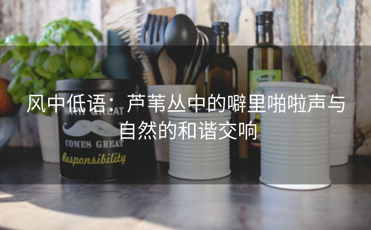 风中低语：芦苇丛中的噼里啪啦声与自然的和谐交响