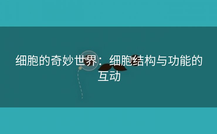 细胞的奇妙世界：细胞结构与功能的互动