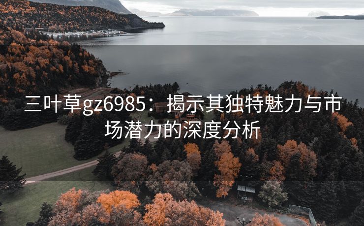 三叶草gz6985：揭示其独特魅力与市场潜力的深度分析