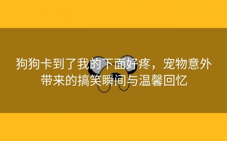 狗狗卡到了我的下面好疼，宠物意外带来的搞笑瞬间与温馨回忆