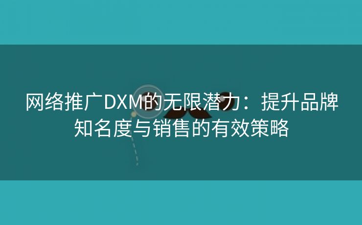 网络推广DXM的无限潜力：提升品牌知名度与销售的有效策略