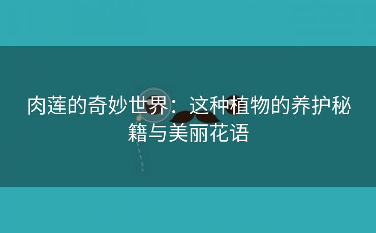 肉莲的奇妙世界：这种植物的养护秘籍与美丽花语