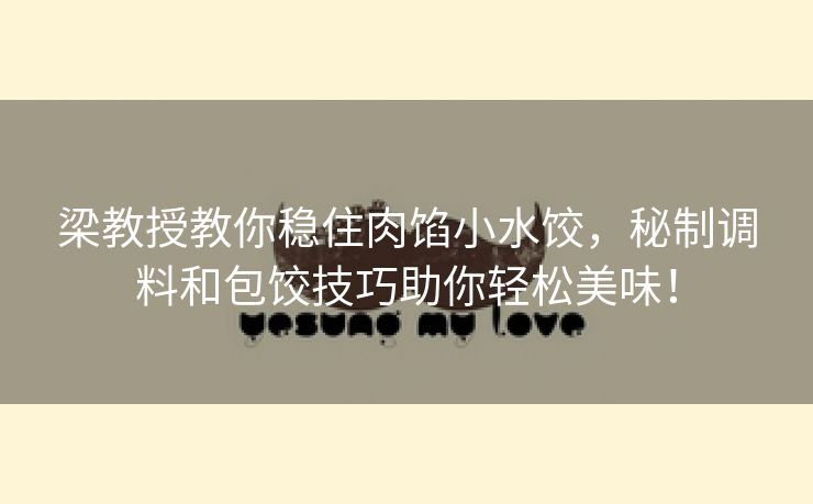 梁教授教你稳住肉馅小水饺，秘制调料和包饺技巧助你轻松美味！