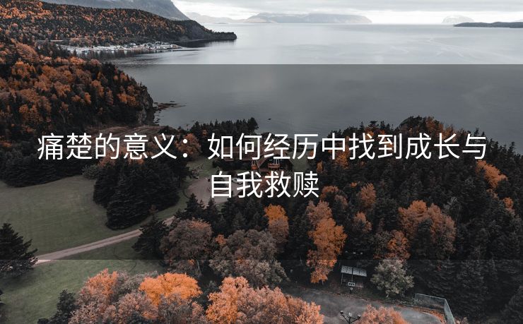 痛楚的意义：如何经历中找到成长与自我救赎