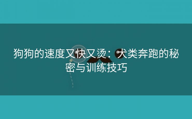 狗狗的速度又快又烫：犬类奔跑的秘密与训练技巧