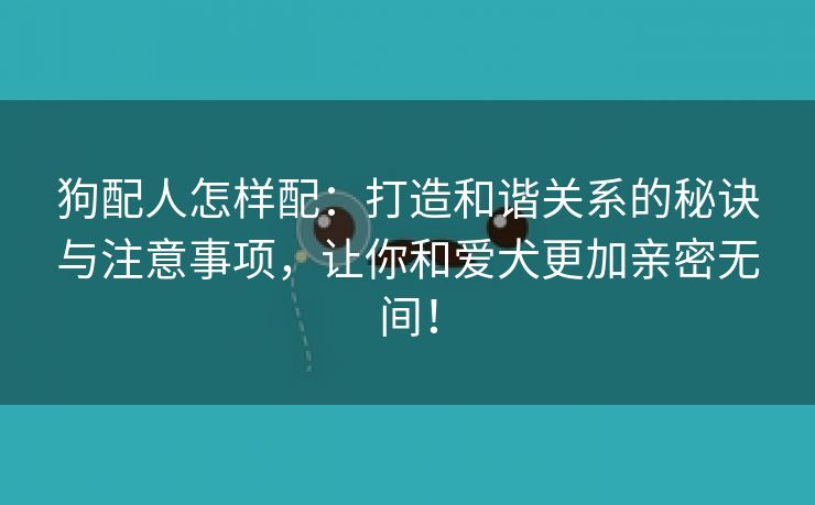 狗配人怎样配：打造和谐关系的秘诀与注意事项，让你和爱犬更加亲密无间！