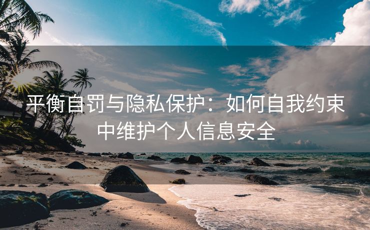 平衡自罚与隐私保护：如何自我约束中维护个人信息安全