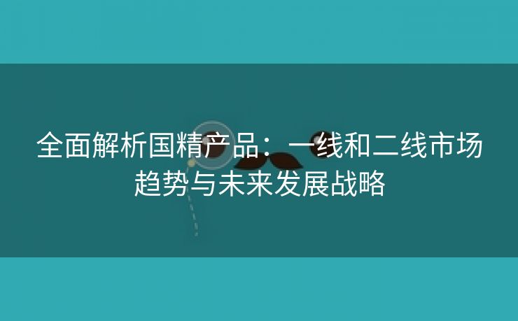 全面解析国精产品：一线和二线市场趋势与未来发展战略