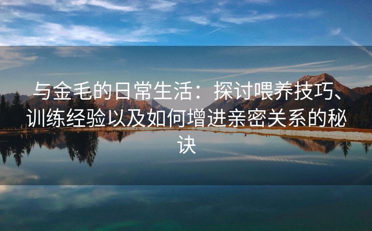 与金毛的日常生活：探讨喂养技巧、训练经验以及如何增进亲密关系的秘诀