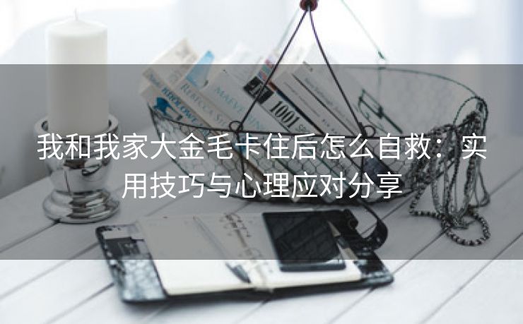 我和我家大金毛卡住后怎么自救：实用技巧与心理应对分享