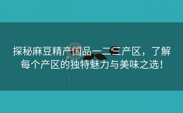 探秘麻豆精产国品一二三产区，了解每个产区的独特魅力与美味之选！