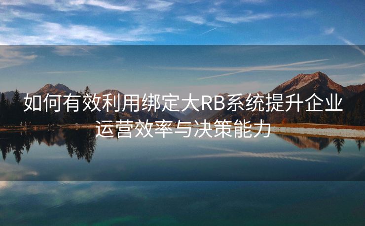 如何有效利用绑定大RB系统提升企业运营效率与决策能力