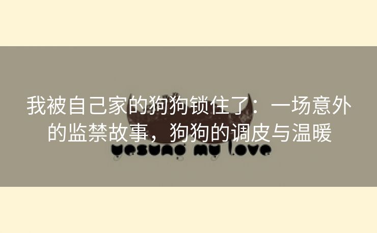 我被自己家的狗狗锁住了：一场意外的监禁故事，狗狗的调皮与温暖