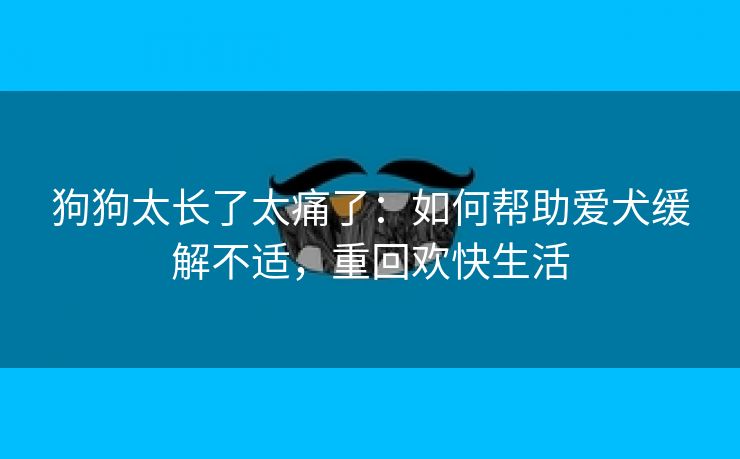 狗狗太长了太痛了：如何帮助爱犬缓解不适，重回欢快生活