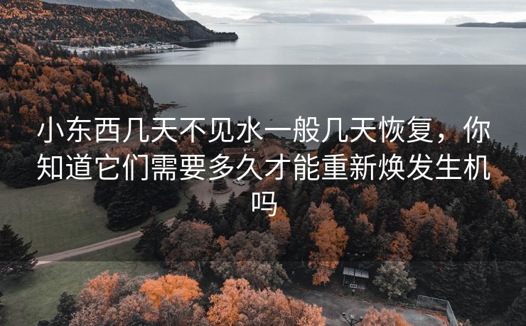 小东西几天不见水一般几天恢复，你知道它们需要多久才能重新焕发生机吗