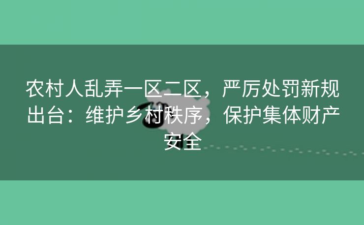 农村人乱弄一区二区，严厉处罚新规出台：维护乡村秩序，保护集体财产安全