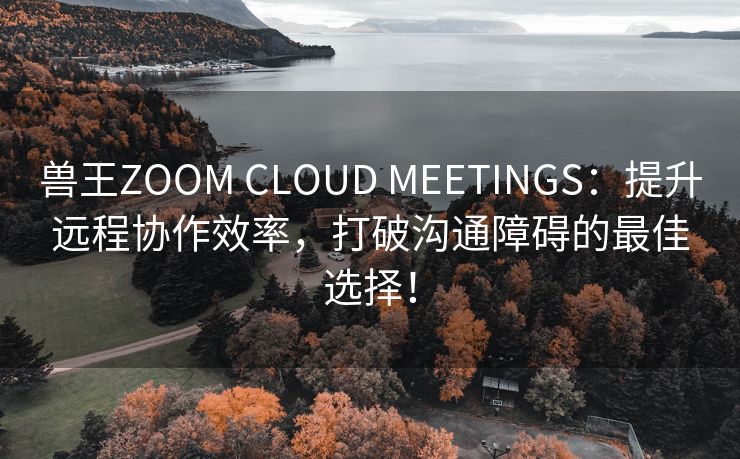 兽王ZOOM CLOUD MEETINGS：提升远程协作效率，打破沟通障碍的最佳选择！