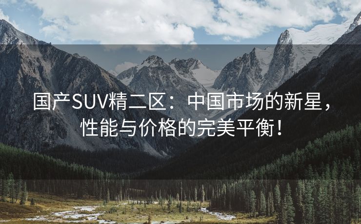 国产SUV精二区：中国市场的新星，性能与价格的完美平衡！