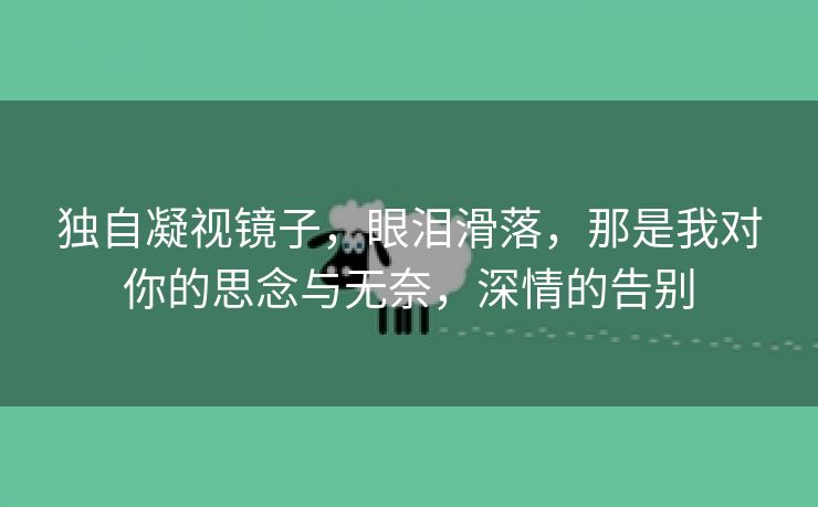 独自凝视镜子，眼泪滑落，那是我对你的思念与无奈，深情的告别