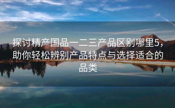 探讨精产国品一二三产品区别哪里5，助你轻松辨别产品特点与选择适合的品类