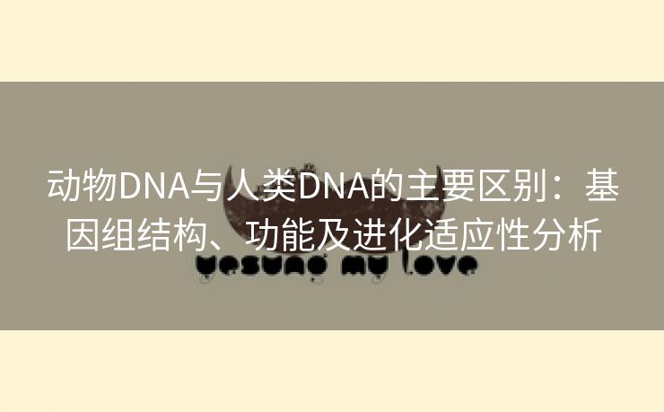 动物DNA与人类DNA的主要区别：基因组结构、功能及进化适应性分析