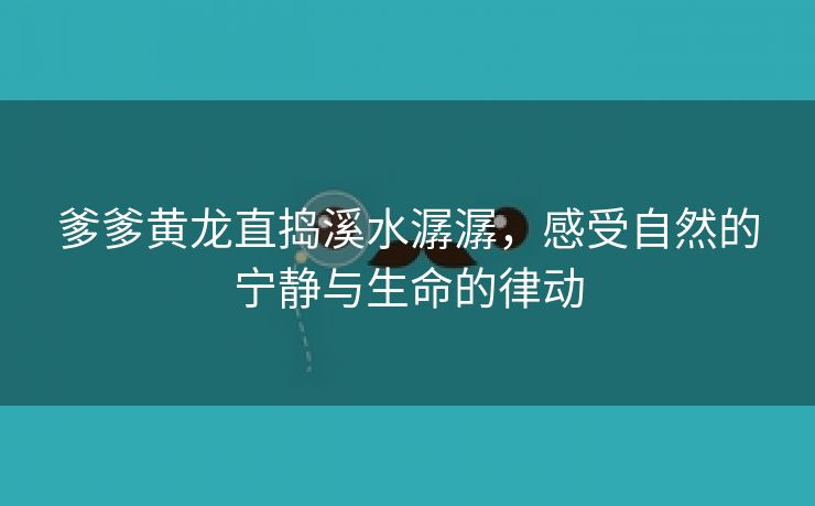 爹爹黄龙直捣溪水潺潺，感受自然的宁静与生命的律动