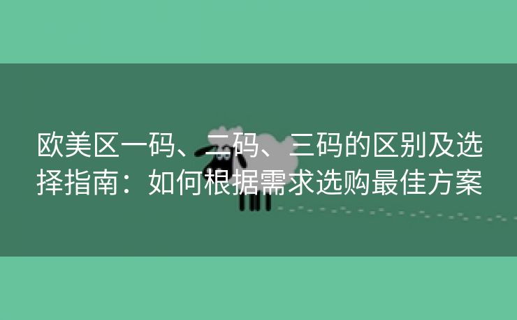 欧美区一码、二码、三码的区别及选择指南：如何根据需求选购最佳方案