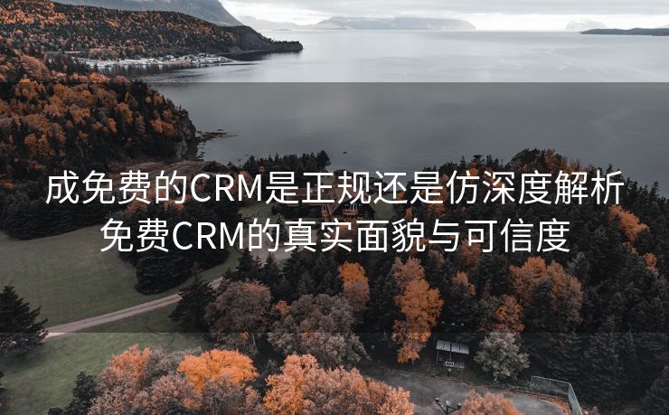 成免费的CRM是正规还是仿深度解析免费CRM的真实面貌与可信度