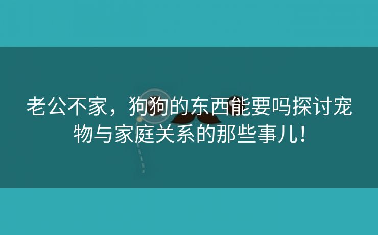 老公不家，狗狗的东西能要吗探讨宠物与家庭关系的那些事儿！