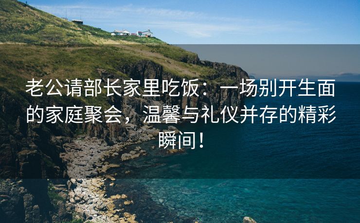 老公请部长家里吃饭：一场别开生面的家庭聚会，温馨与礼仪并存的精彩瞬间！