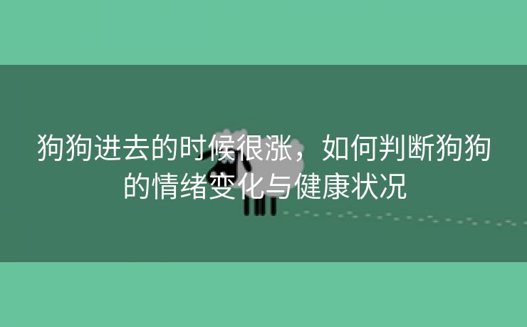 狗狗进去的时候很涨，如何判断狗狗的情绪变化与健康状况