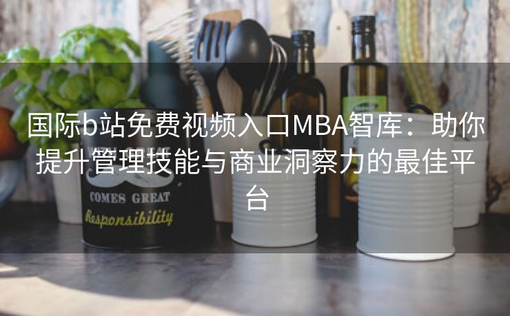 国际b站免费视频入口MBA智库：助你提升管理技能与商业洞察力的最佳平台