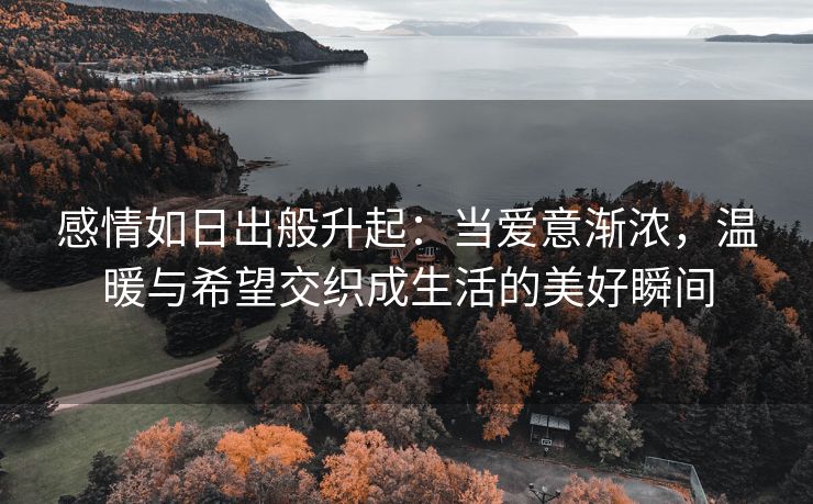 感情如日出般升起：当爱意渐浓，温暖与希望交织成生活的美好瞬间