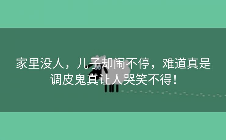 家里没人，儿子却闹不停，难道真是调皮鬼真让人哭笑不得！