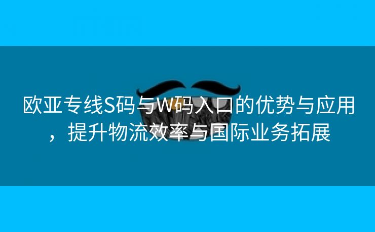 欧亚专线S码与W码入口的优势与应用，提升物流效率与国际业务拓展