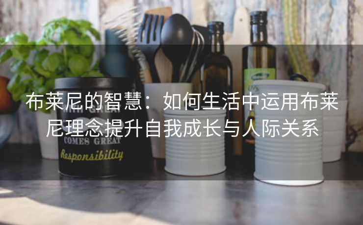 布莱尼的智慧：如何生活中运用布莱尼理念提升自我成长与人际关系