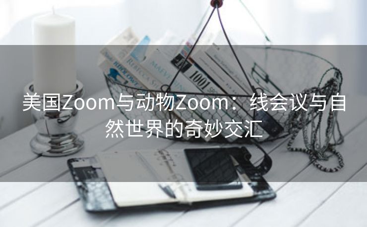 美国Zoom与动物Zoom：线会议与自然世界的奇妙交汇