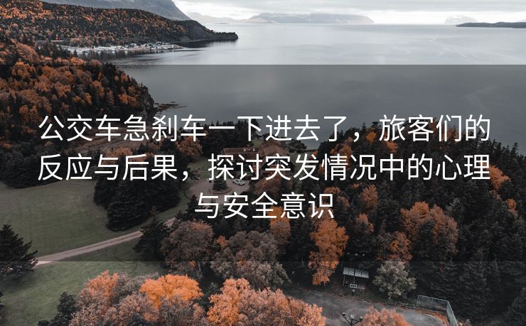 公交车急刹车一下进去了，旅客们的反应与后果，探讨突发情况中的心理与安全意识