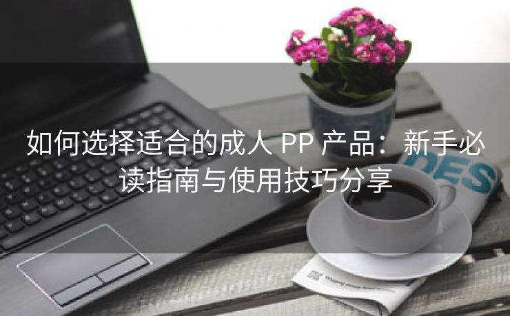 如何选择适合的成人 PP 产品：新手必读指南与使用技巧分享