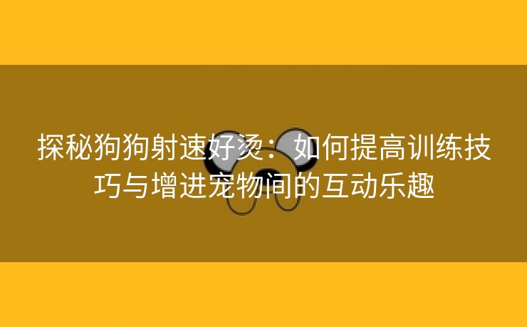 探秘狗狗射速好烫：如何提高训练技巧与增进宠物间的互动乐趣