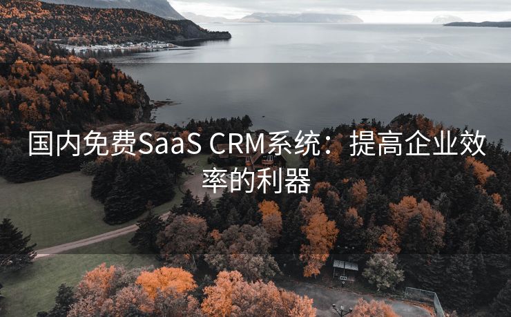 国内免费SaaS CRM系统：提高企业效率的利器