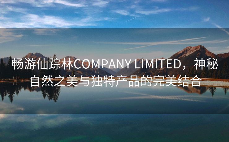 畅游仙踪林COMPANY LIMITED，神秘自然之美与独特产品的完美结合