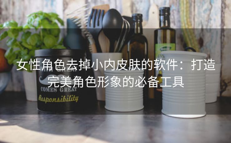 女性角色去掉小内皮肤的软件：打造完美角色形象的必备工具