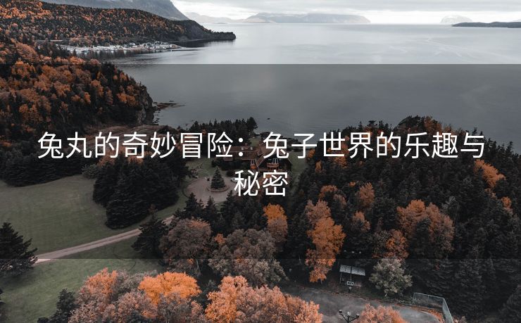 兔丸的奇妙冒险：兔子世界的乐趣与秘密