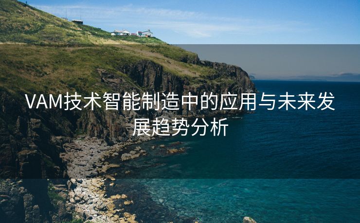 VAM技术智能制造中的应用与未来发展趋势分析