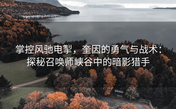 掌控风驰电掣，奎因的勇气与战术：探秘召唤师峡谷中的暗影猎手