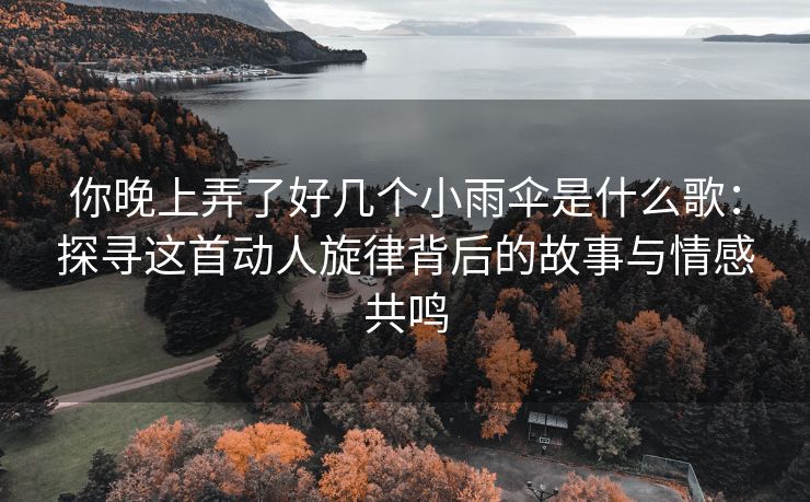 你晚上弄了好几个小雨伞是什么歌：探寻这首动人旋律背后的故事与情感共鸣